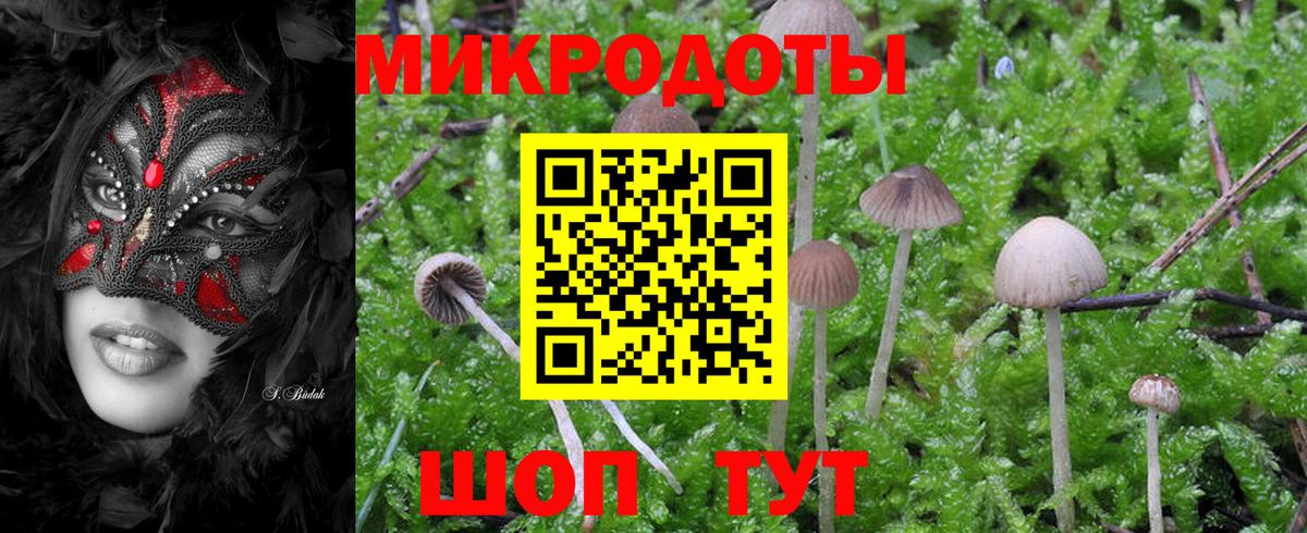 Галлюциногенные грибы мухоморы  Вход с VPN  Галлюциногенные грибы Psilocybe  Нальчик 